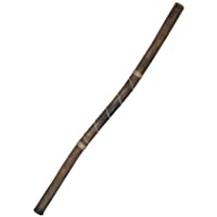 Didgeridoo Moderno - Boquilla de cera de abejas - Easy Player! - Key of D - by World Percussion USA